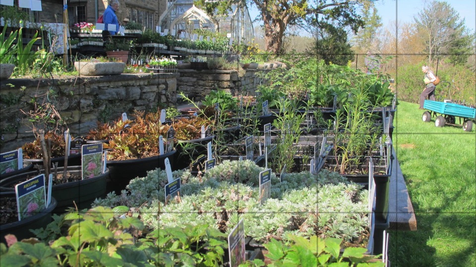 Spring Plant Sale (April 25-28): “Native, New and Noteworthy”